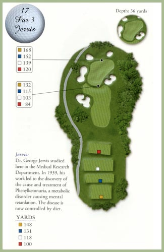 Course guide for Hole 17 — Par 3, Jervis
