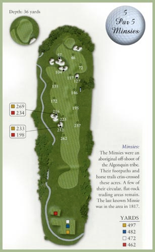 Course guide for Hole 5 — Par 5, Minsies