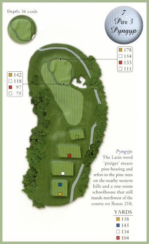 Course guide for Hole 7 — Par 3, Pyngyp